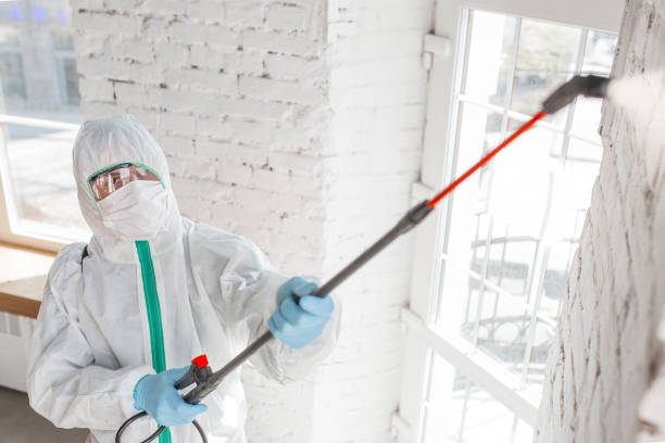 Professional Mold Inspection, Removal & Remediation in Kohler, WI